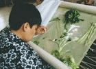 suzhou silk works