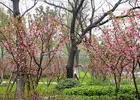 suzhou weather